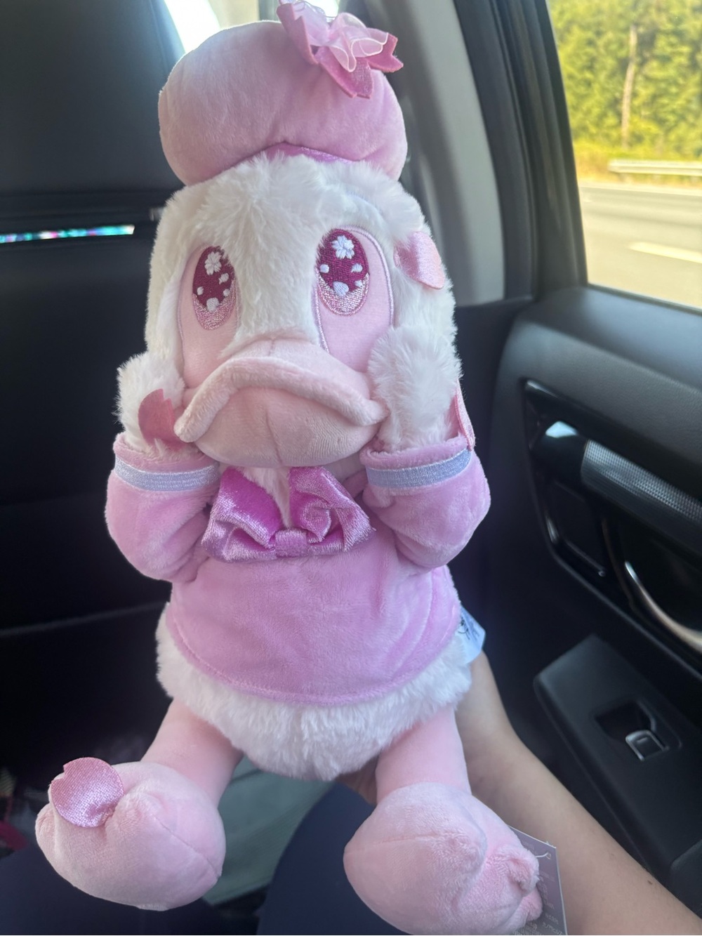 Plush Toy - Not an Accessory